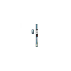 Bosch GLM 80 + R60